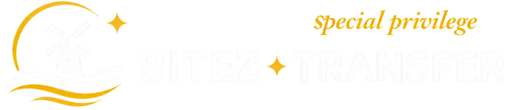 Footer Logo